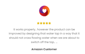 Customer Review2